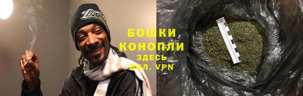 spice Арсеньев