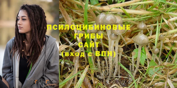 spice Арсеньев