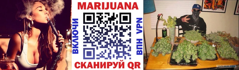 Купить где  Апрелевка  МАРИХУАНА сатива 